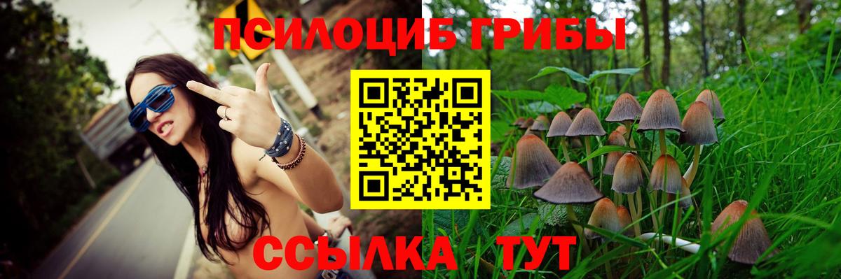 Волжский  Псилоцибиновые грибы Psilocybine cubensis  Вход с VPN 