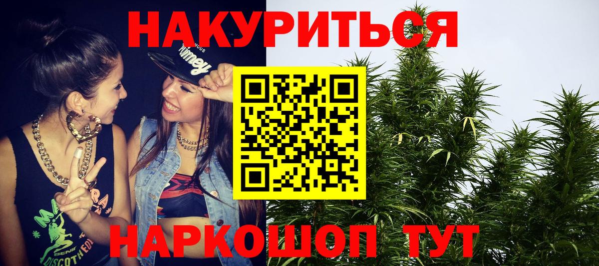 Канабис Волжский